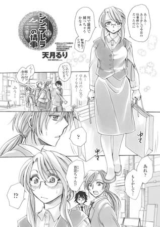 シンデレラの情事 弐着目